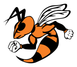 Declo High School mascot