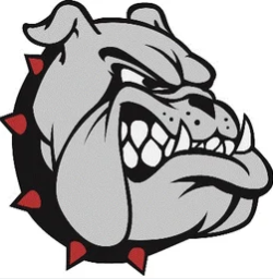 Covington Academy mascot