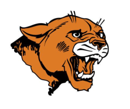 Lee Academy mascot