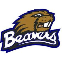 Hanson High School mascot