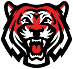 Donaldsonville High School mascot