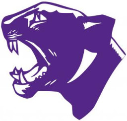 Palmyra Eagle High School mascot