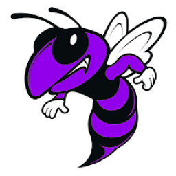 Irion High School mascot