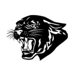 Powell High School mascot