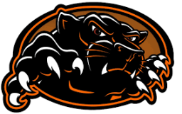 stockbridge High School mascot