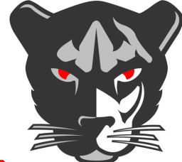 St. Mary High School mascot