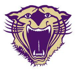 Bainbridge High School mascot