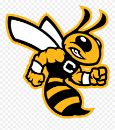 Corner High School mascot