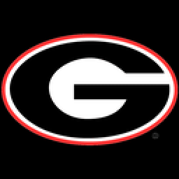 Granite City High School mascot