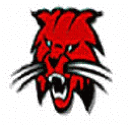 Meridian High School mascot