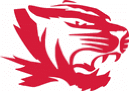 Princeton Community High School mascot