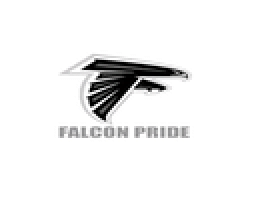 Wayne Cmnty High School mascot
