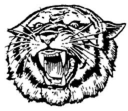 Mulvane High School mascot