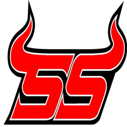 South High Schooltanly High School mascot