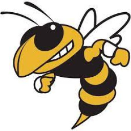 Kingston High School mascot
