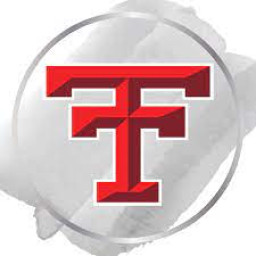 Dickinson Trinity High School mascot