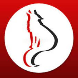 Anselmo Merna High School mascot